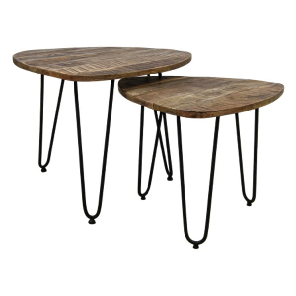 Williston HSM Collection 2 Piece Coffee Table Set Dexter